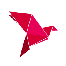 Bkash Logo